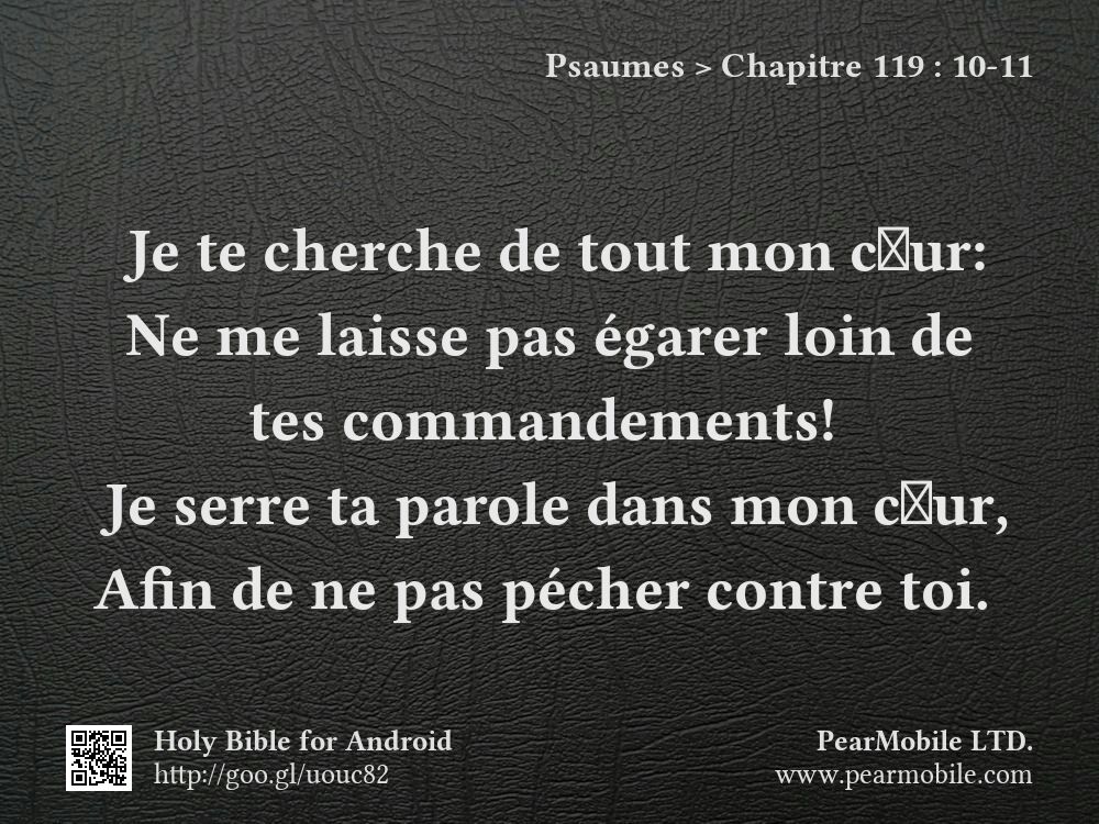 Psaumes, Chapitre 119:10-11